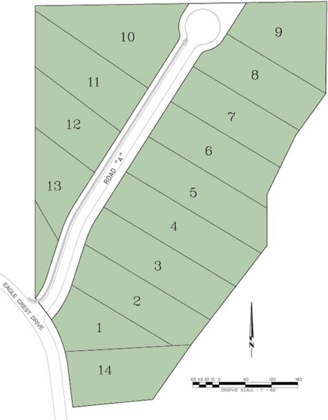 Eagle Nest Map